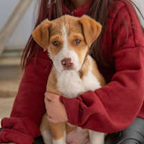 Thumbnail photo of Gandalf #1