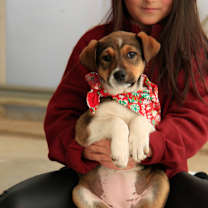 Thumbnail photo of Olivia #2