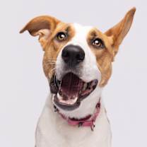 Thumbnail photo of Terra 💎 #4