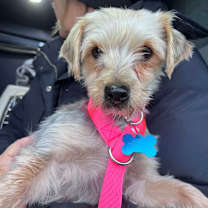 Thumbnail photo of Holiday  #1