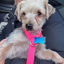 Thumbnail photo of Holiday  #2