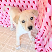 Thumbnail photo of Meef #2