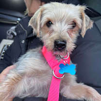 Thumbnail photo of Holiday  #3