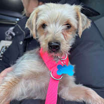 Thumbnail photo of Holiday  #4