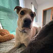 Thumbnail photo of Meef #3