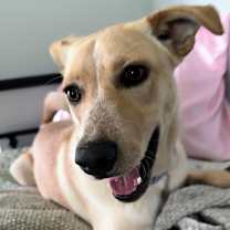 Thumbnail photo of Meef #4