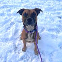 Thumbnail photo of Matzo #4