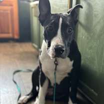 Thumbnail photo of Atlas #2