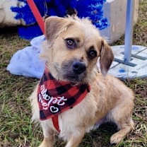 Thumbnail photo of Sam Handwich #1