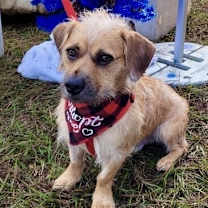 Thumbnail photo of Sam Handwich #3