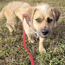 Thumbnail photo of Sam Handwich #4