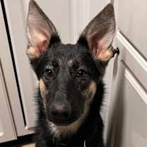 Thumbnail photo of Karma #3