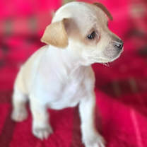 Thumbnail photo of Frida #4