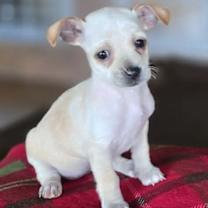 Thumbnail photo of Frida #3