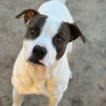 Thumbnail photo of CUDDLES #2