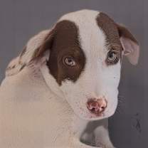 Thumbnail photo of Gemma #1