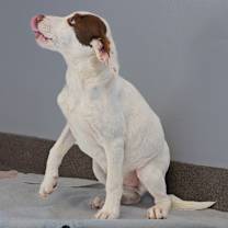 Thumbnail photo of Gemma #2