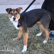 Thumbnail photo of Sabrina #2