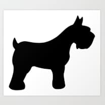 Thumbnail photo of Frosty #2