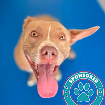 Thumbnail photo of Chloe #1