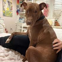 Thumbnail photo of Sicily #4