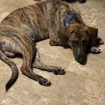 Thumbnail photo of River #2