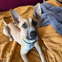 Thumbnail photo of Maya #1