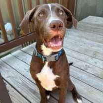 Thumbnail photo of Tagi #2