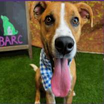 Thumbnail photo of Teeka #2