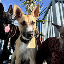 Thumbnail photo of Maya #2