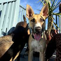 Thumbnail photo of Maya #3