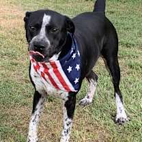 Thumbnail photo of Brody #3