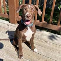 Thumbnail photo of Tagi #3