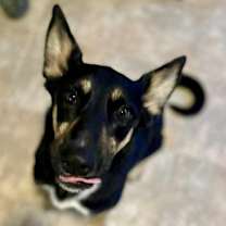 Thumbnail photo of Marshia #3