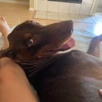 Thumbnail photo of Zephyr #2