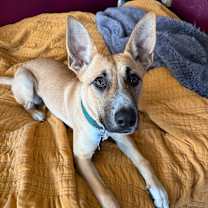 Thumbnail photo of Maya #4