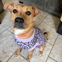 Thumbnail photo of Shelly #3