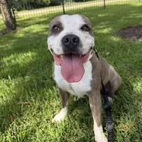 Thumbnail photo of Chip #1