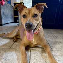 Thumbnail photo of Shelly #4