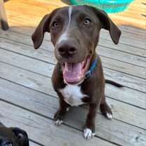 Thumbnail photo of Tagi #4