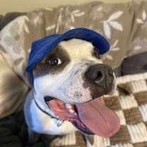 Thumbnail photo of Chip #2