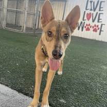 Thumbnail photo of Flacko (Lee) #1