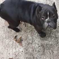 Thumbnail photo of Penelope #1