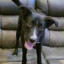 Thumbnail photo of Bear #4