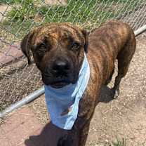 Thumbnail photo of Dipsy #2