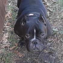 Thumbnail photo of Penelope #4