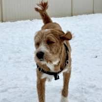 Thumbnail photo of John Legend #2