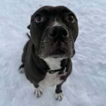 Thumbnail photo of Maya #1