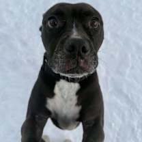 Thumbnail photo of Maya #4