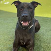 Thumbnail photo of Bisbee #2